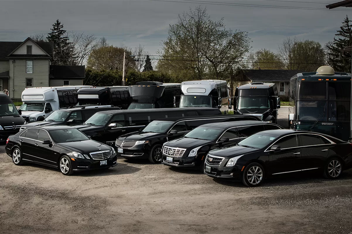 Hiring A Limo For Your Company Party